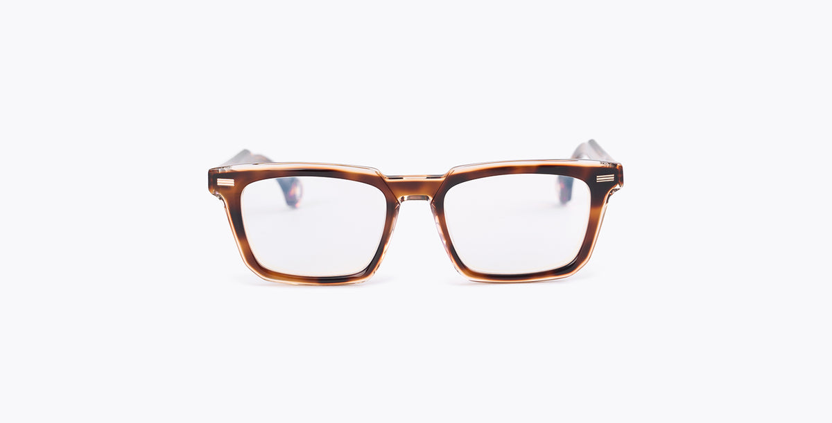 SO-blake-kuwahara-proctor-tortoise-53x20__01.jpg
