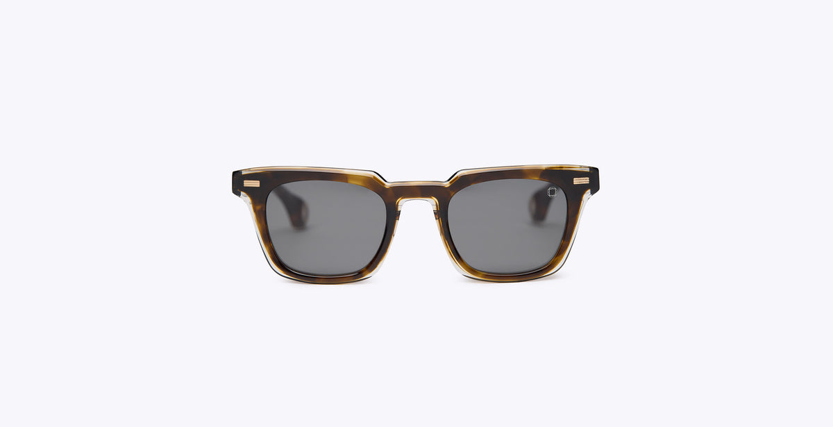 SO-blake-kuwahara-walsh-tortoise-48x23__01.jpg