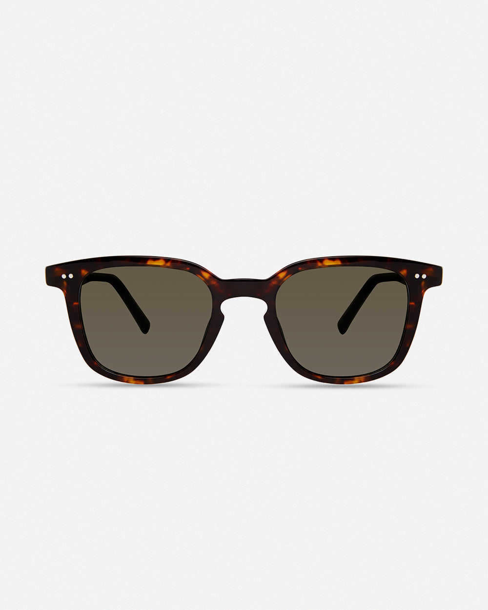 SO-modo-800-tort-49x22__01.jpg